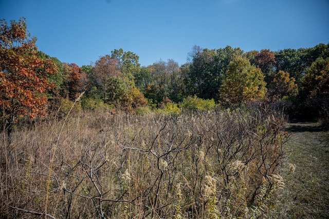 802 Union Rd, Harmon, IL 61042 - view of tree filled area