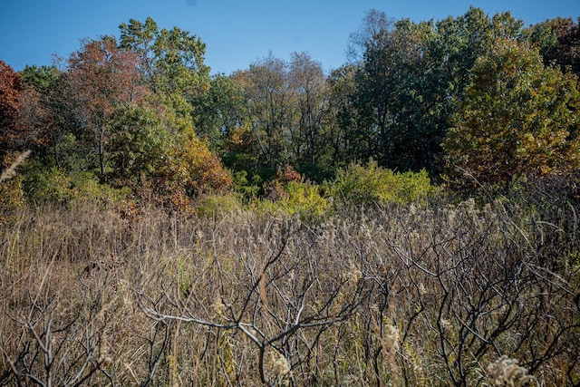 802 Union Rd, Harmon, IL 61042 - view of tree filled area