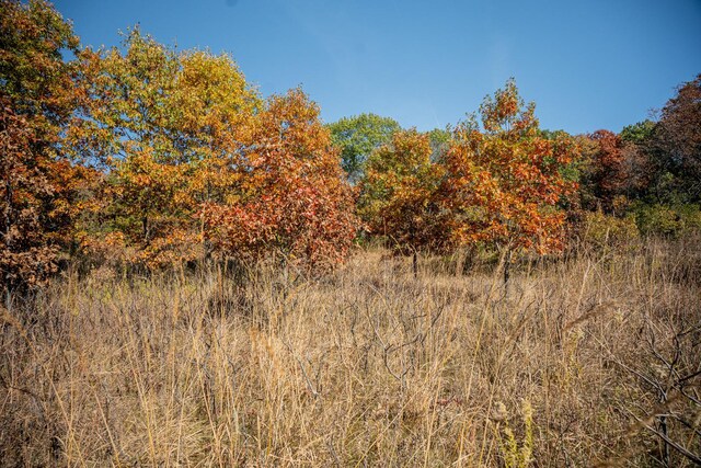 802 Union Rd, Harmon, IL 61042 - view of woods