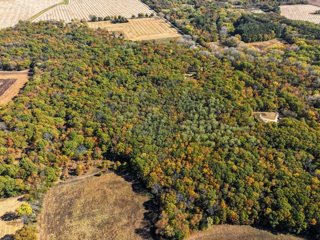802 Union Rd, Harmon, IL 61042 - aerial view of property's location with a forest