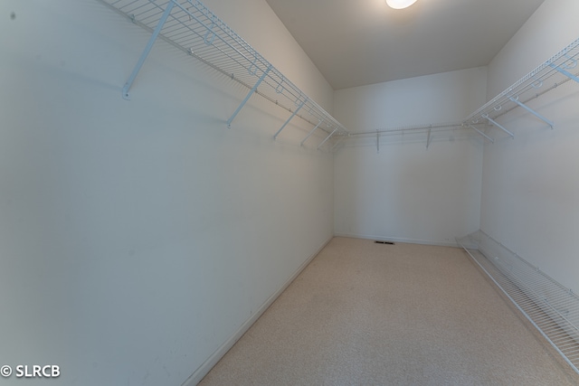 spacious closet featuring carpet floors