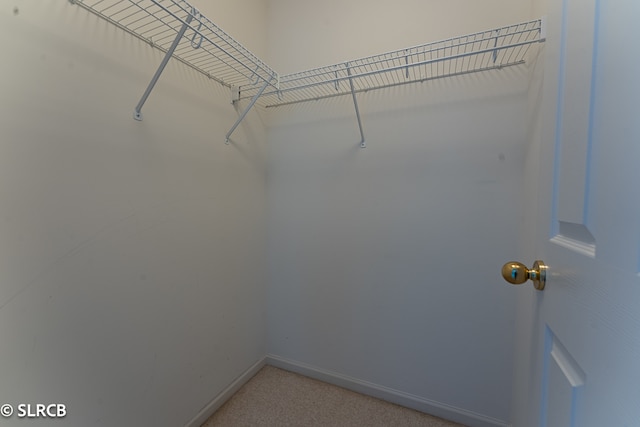 spacious closet with carpet floors