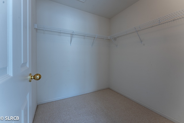 walk in closet featuring light carpet