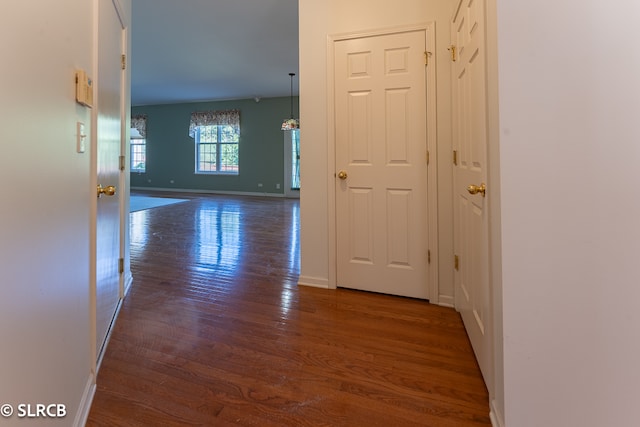 hallway featuring dark wood-type flooring