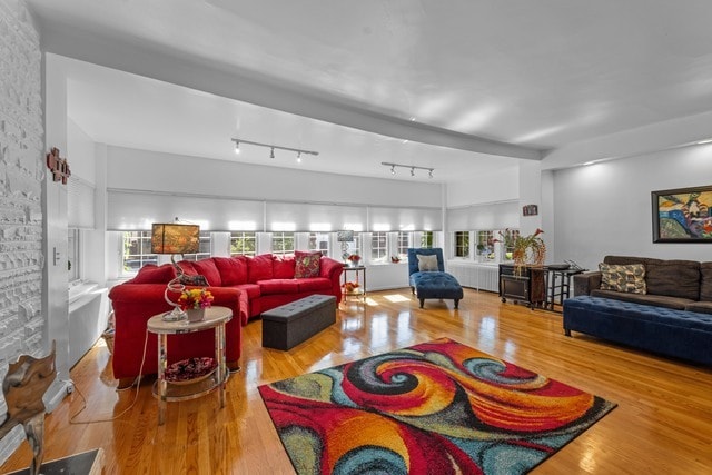 living room with track lighting, plenty of natural light, and wood-type flooring