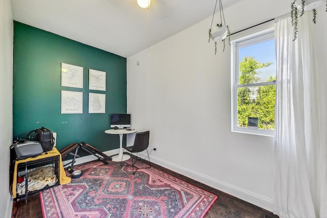 miscellaneous room featuring dark hardwood / wood-style flooring and plenty of natural light