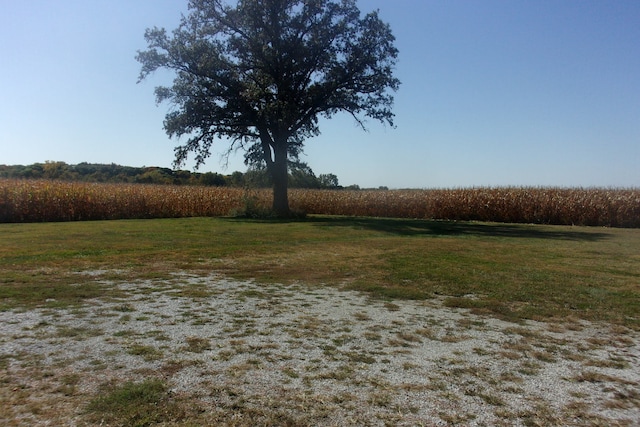 view of yard featuring a rural view