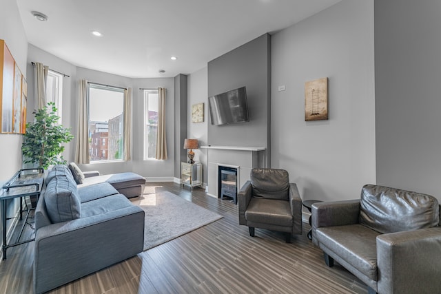 living room with hardwood / wood-style floors