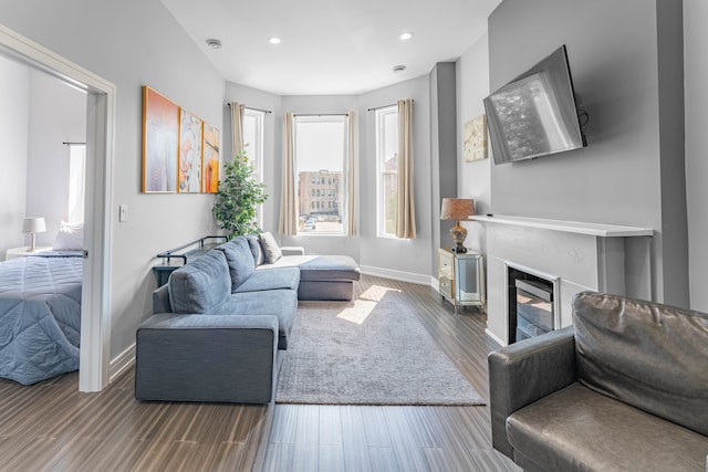 living room with a fireplace and dark wood-type flooring