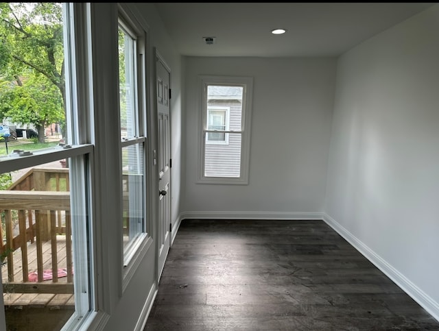 interior space with dark hardwood / wood-style floors and a wealth of natural light