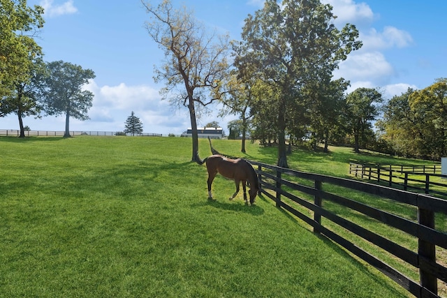 view of yard featuring a rural view