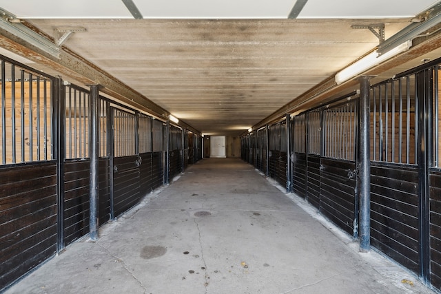 view of horse barn