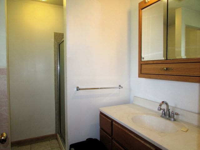 bathroom featuring vanity, tile patterned flooring, and walk in shower