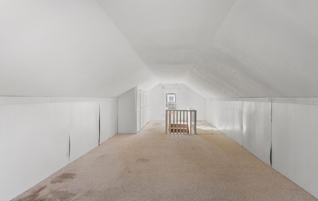 additional living space with light colored carpet and lofted ceiling