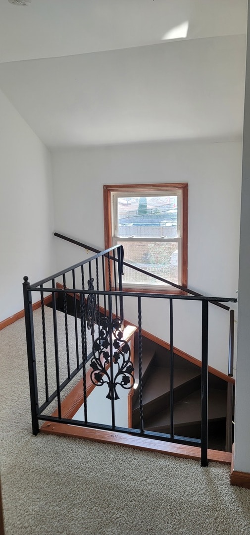 staircase with carpet flooring