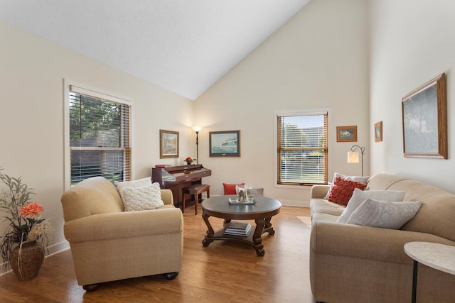 living room featuring wood-type flooring and high vaulted ceiling