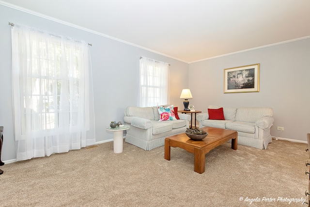 living room with ornamental molding and light carpet