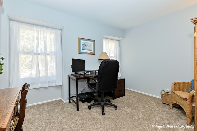 office area featuring light colored carpet and plenty of natural light