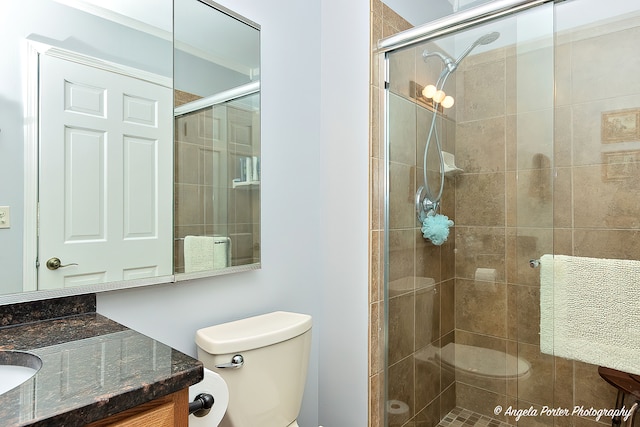 bathroom with vanity, toilet, and a shower with door