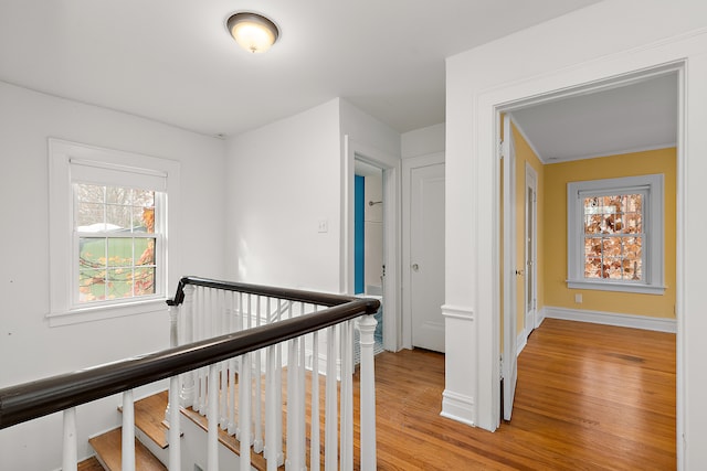 corridor with light hardwood / wood-style floors