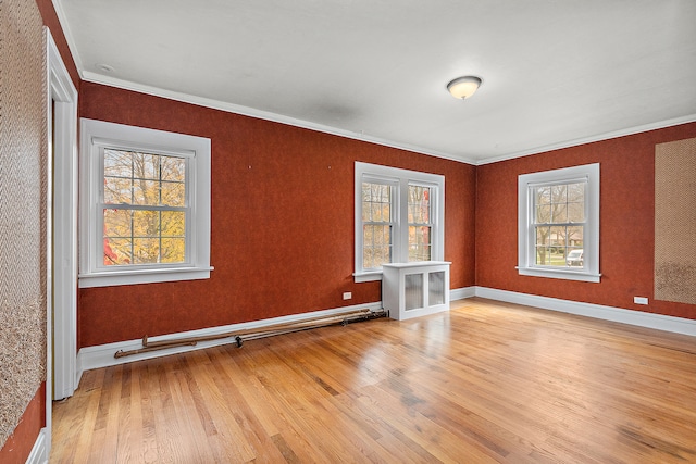 unfurnished room featuring crown molding and light hardwood / wood-style flooring