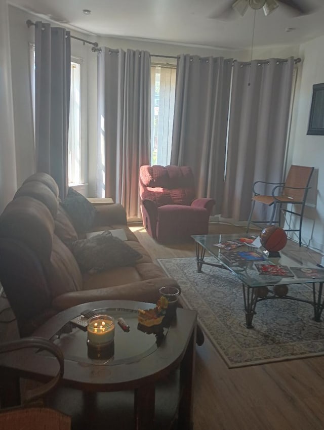 living room with wood-type flooring and ceiling fan