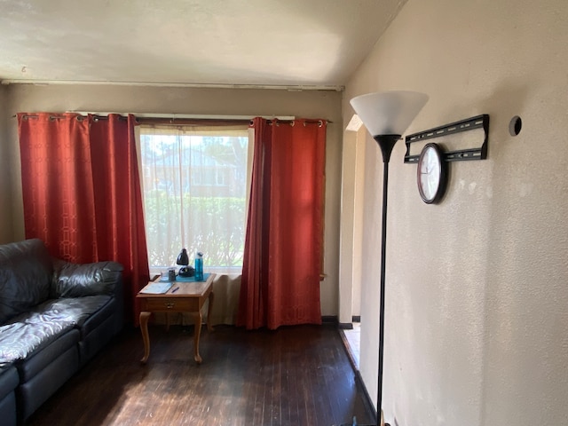 living room with lofted ceiling, dark hardwood / wood-style floors, and a wealth of natural light