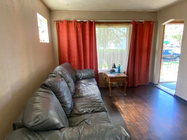 living room featuring plenty of natural light and dark hardwood / wood-style floors