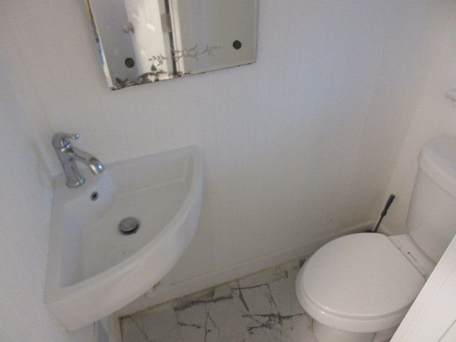 bathroom with sink and toilet