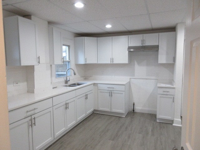 kitchen featuring light hardwood / wood-style flooring, a paneled ceiling, sink, and white cabinetry