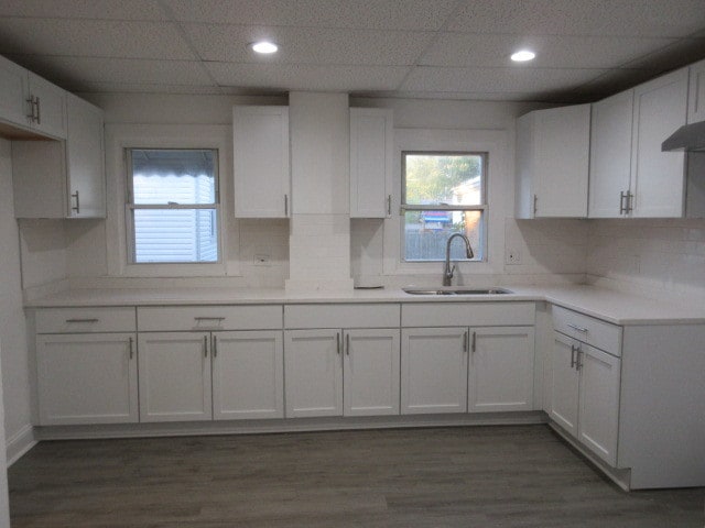 kitchen with dark hardwood / wood-style flooring, sink, and white cabinets