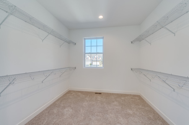 spacious closet with light colored carpet