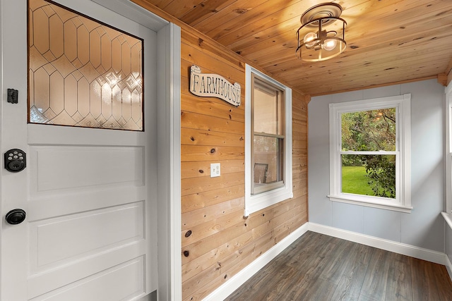 26811 S Kankakee St, Manhattan, IL 60442 - entryway featuring wood ceiling, wooden walls, and dark wood finished floors