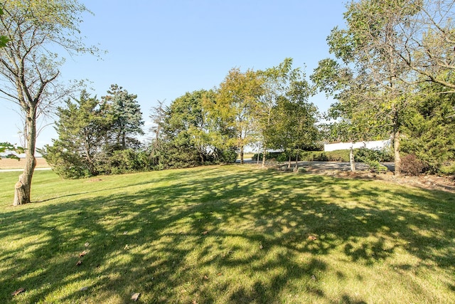 26811 S Kankakee St, Manhattan, IL 60442 - view of green lawn