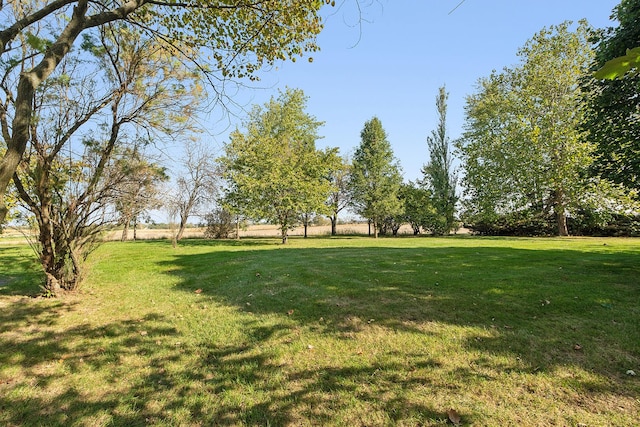 26811 S Kankakee St, Manhattan, IL 60442 - view of green lawn