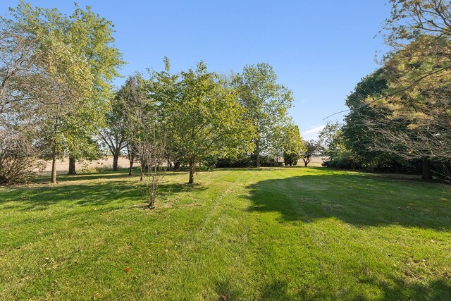 26811 S Kankakee St, Manhattan, IL 60442 - view of green lawn