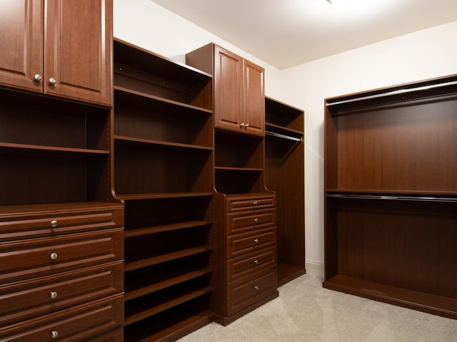 spacious closet featuring light carpet