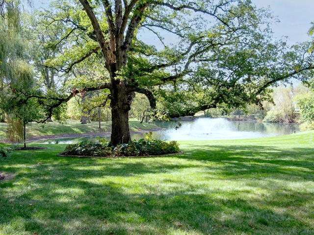 view of yard with a water view