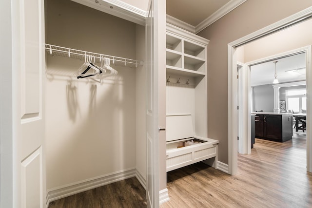 506 Stearn Dr Unit 506, Genoa, IL 60135 - view of closet