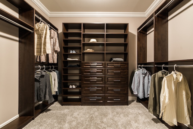 walk in closet featuring carpet floors