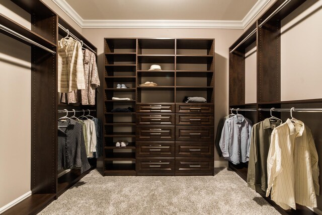 506 Stearn Dr Unit 506, Genoa, IL 60135 - walk in closet with carpet
