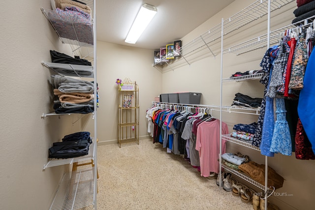 view of spacious closet