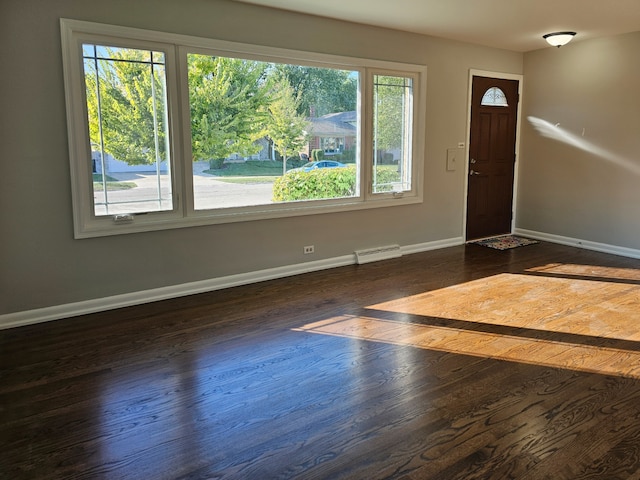 foyer with a wealth of natural light and dark hardwood / wood-style flooring