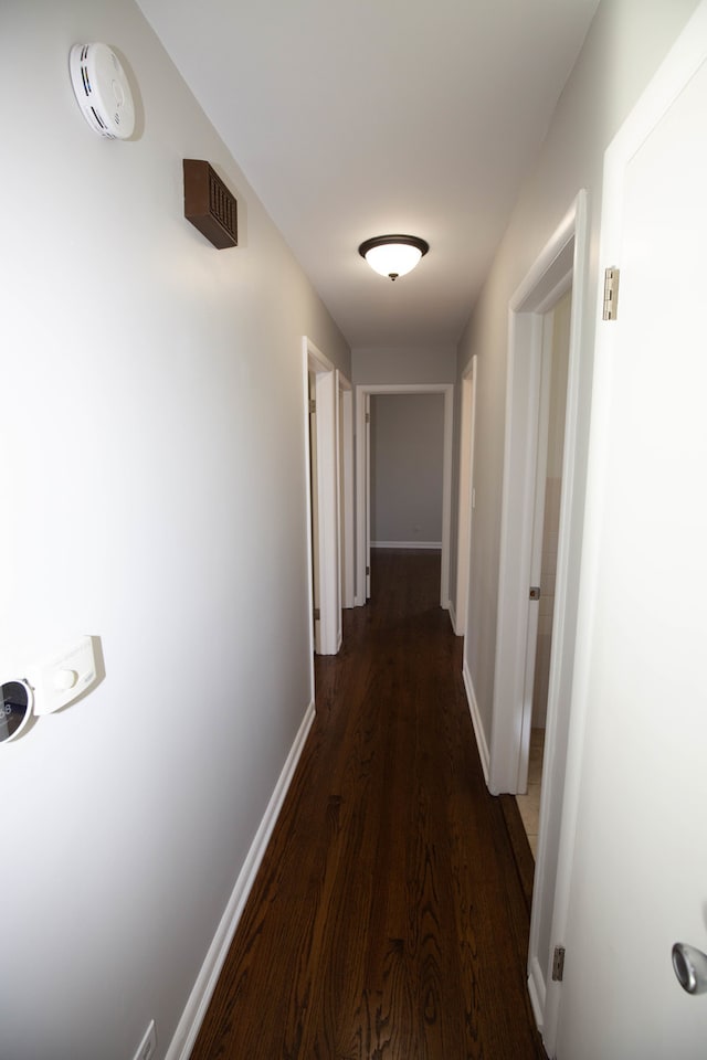 hallway with dark wood-type flooring