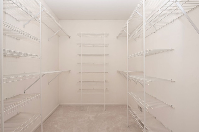 walk in closet with carpet floors