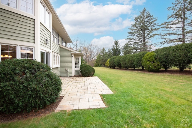 view of yard featuring a patio area