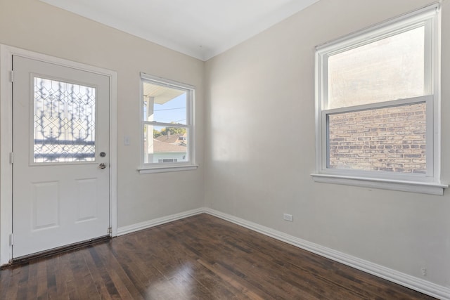 entrance foyer featuring dark hardwood / wood-style floors