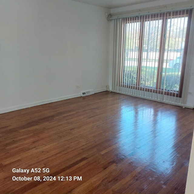 spare room featuring a wealth of natural light and dark hardwood / wood-style floors