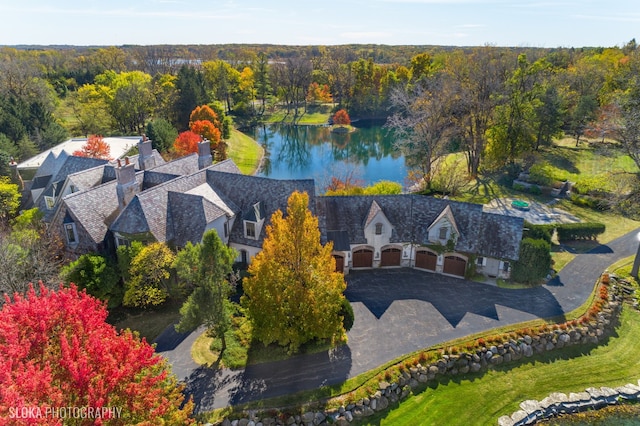 aerial view with a water view