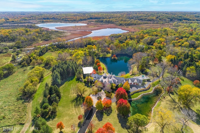 aerial view with a water view